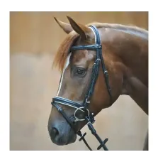 Ogłowie z Nachrapnikiem Kombinowanym Quentine (Czarno-Białe) Kavalkade