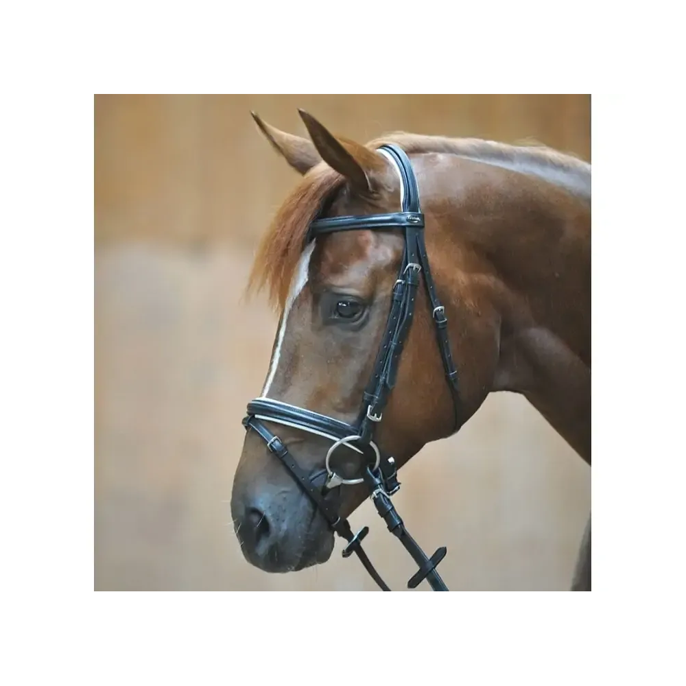 Ogłowie z Nachrapnikiem Kombinowanym Quentine (Czarno-Białe) Kavalkade