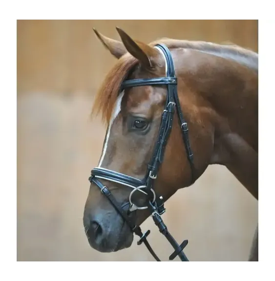 Ogłowie z Nachrapnikiem Kombinowanym Quentine (Czarno-Białe) Kavalkade