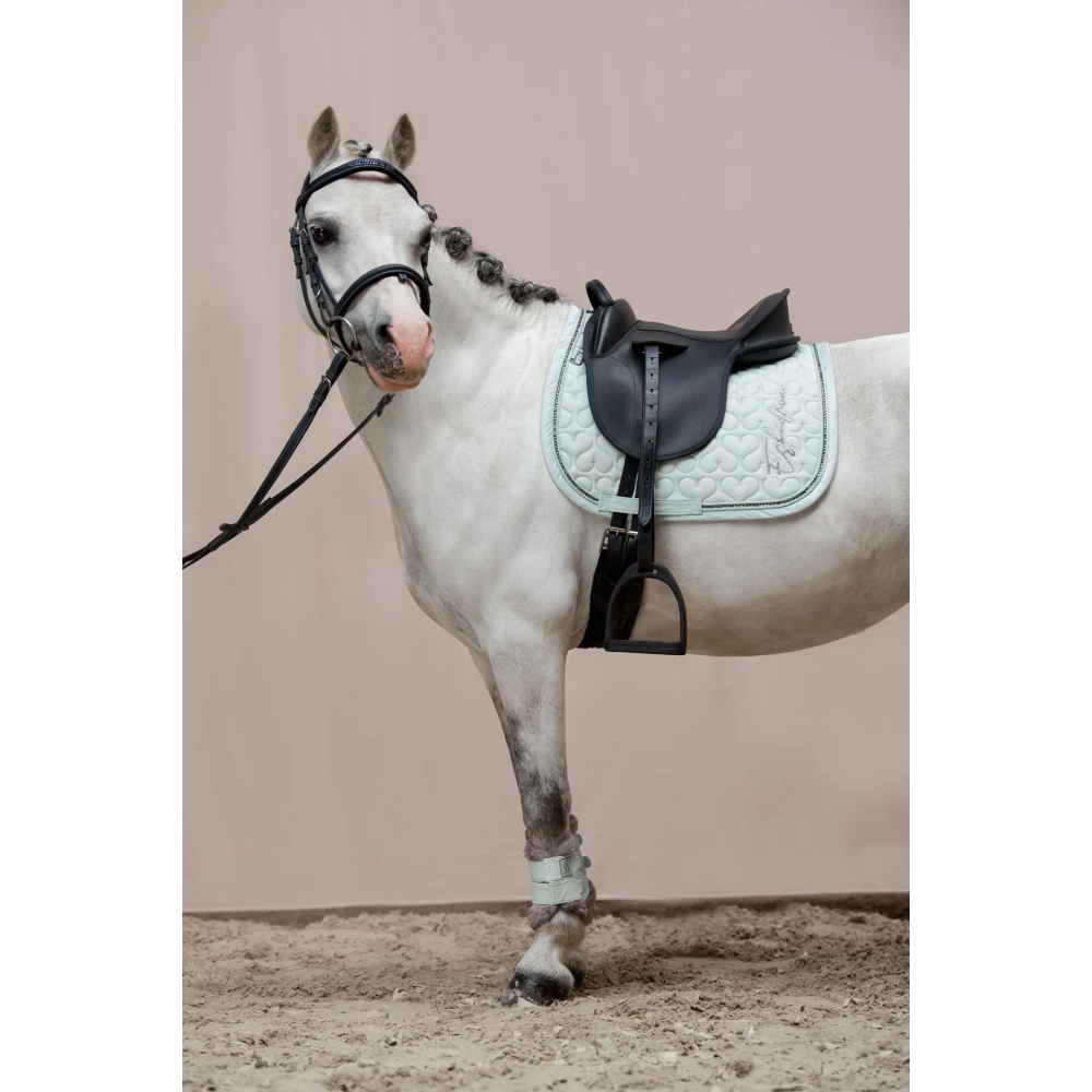 Czaprak Cotton Glitter Crystal Classic Sports 2024 Powder Green Eskadron