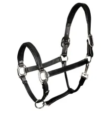 Skórzany Kantar Harry's Horse