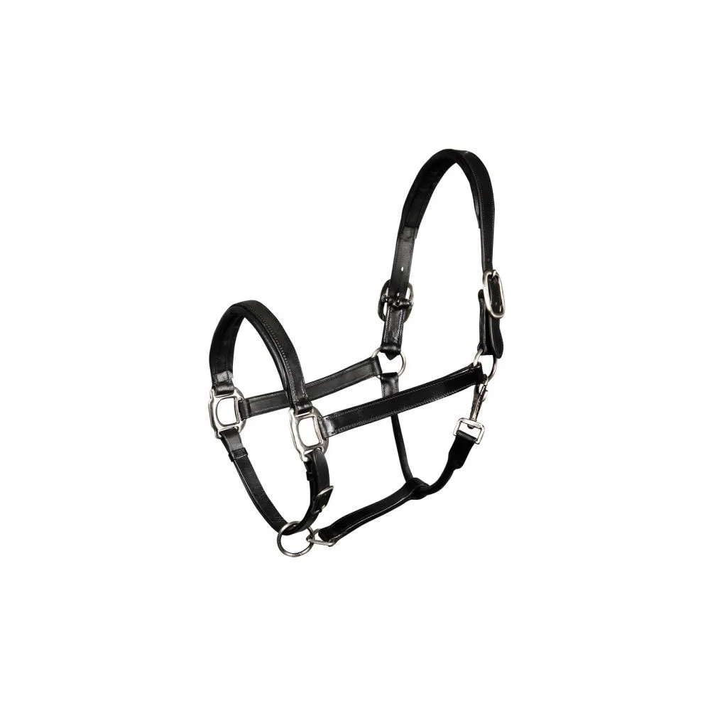 Skórzany Kantar Harry's Horse