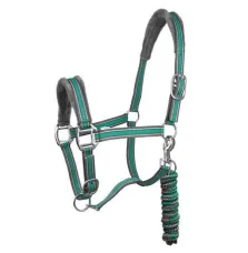 Kantar z Uwiązem Calipso York