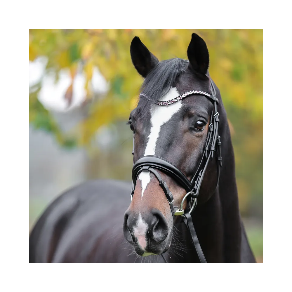 Naczółek z Różowymi Kryształkami Sparkle Kavalkade