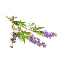 Niepokalanek Pospolity Mnisi Pieprzowy Equiherbs