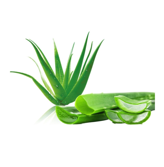 Sok Z Bio Aloesu Z Miąższem Dla Koni Equiherbs