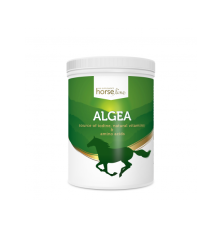 Algi Algea HorseLinePro