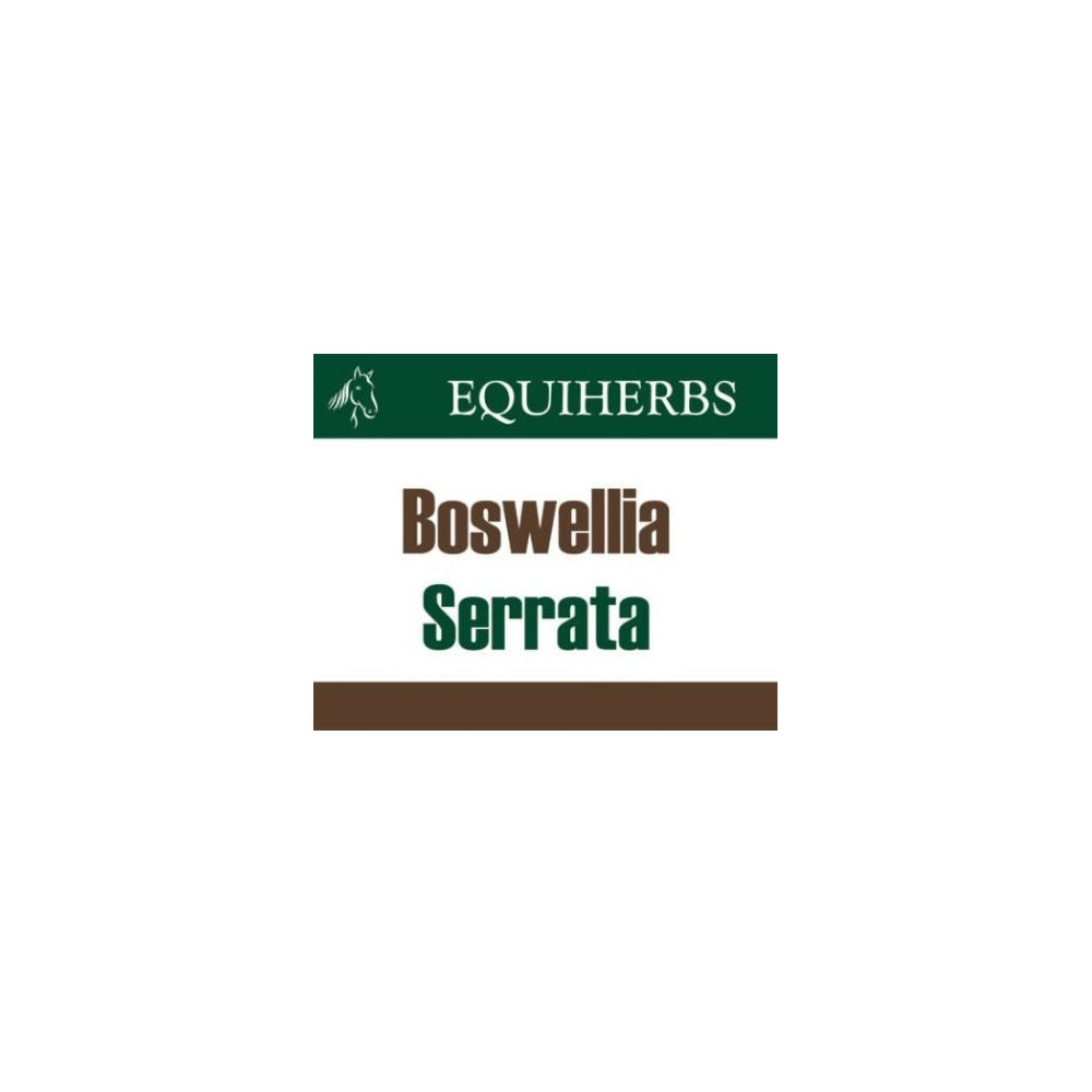 Boswellia Serrata Equiherbs