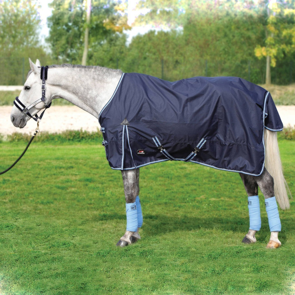 Derka Aristo Horsenjoy