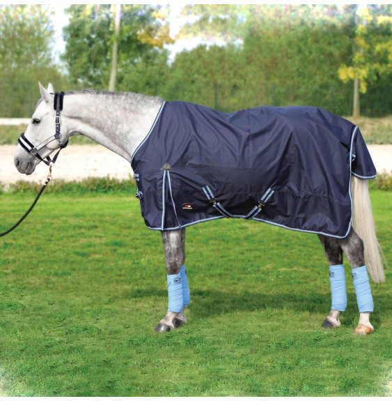 Derka Aristo Horsenjoy