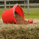 Wiadra, Żłoby i Miarki