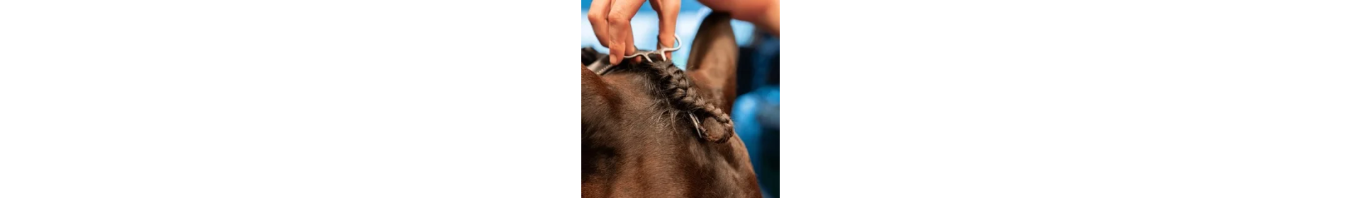 Zaplatanie i Przycinanie