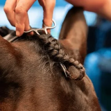 Zaplatanie i Przycinanie