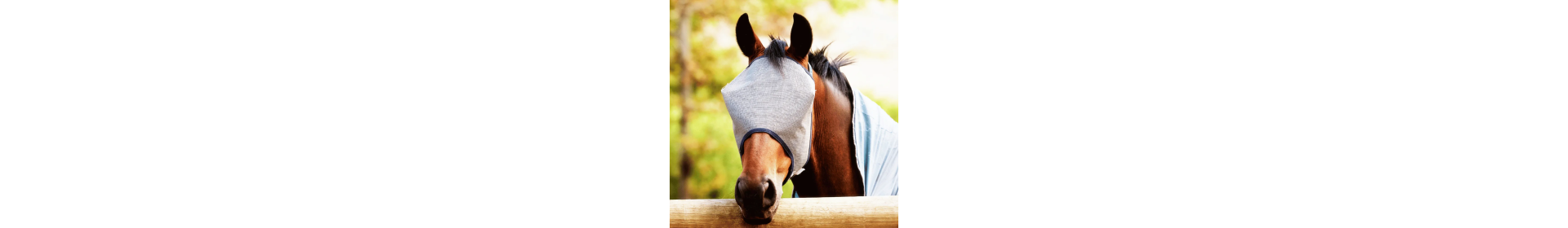 Maski i Flędzle na Owady