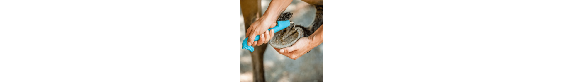 Kopystki i Pędzelki