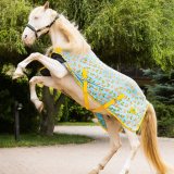 Derki Polarowe i Osuszające