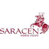 Saracen