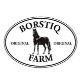 Borstiq