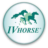 IV Horse